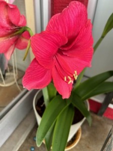 582FCAB4-467E-4516-A038-48BB1BD37DCA