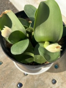 96DD59A6-5DAB-4919-8410-CA027C1B93E4