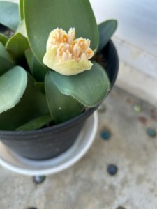 9CC3F748-0F57-4ECB-849A-4474936C7D0F